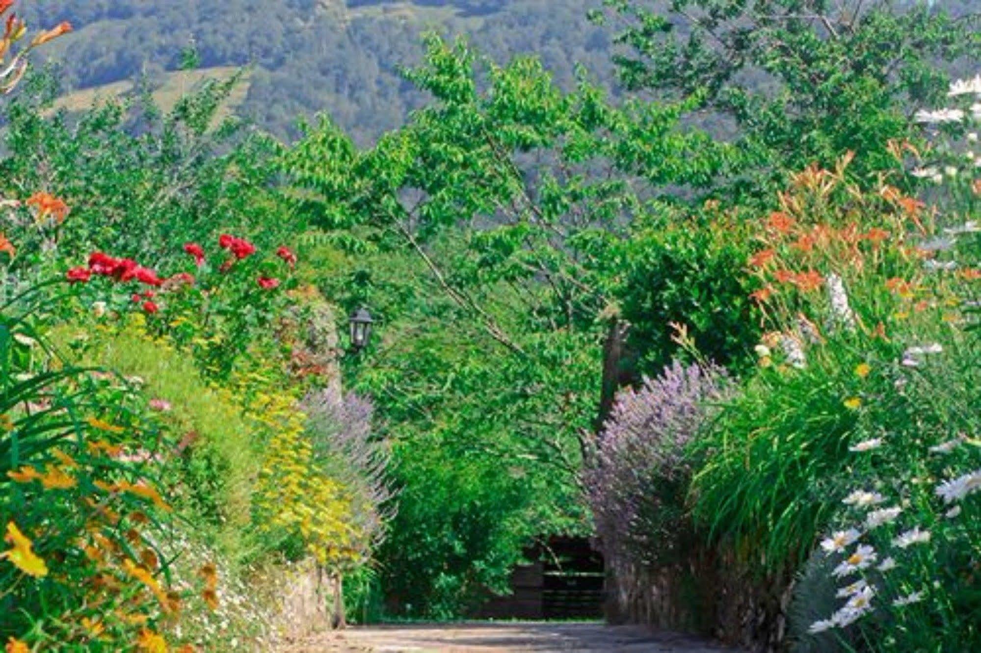 Maison Chilo Barcus Buitenkant foto